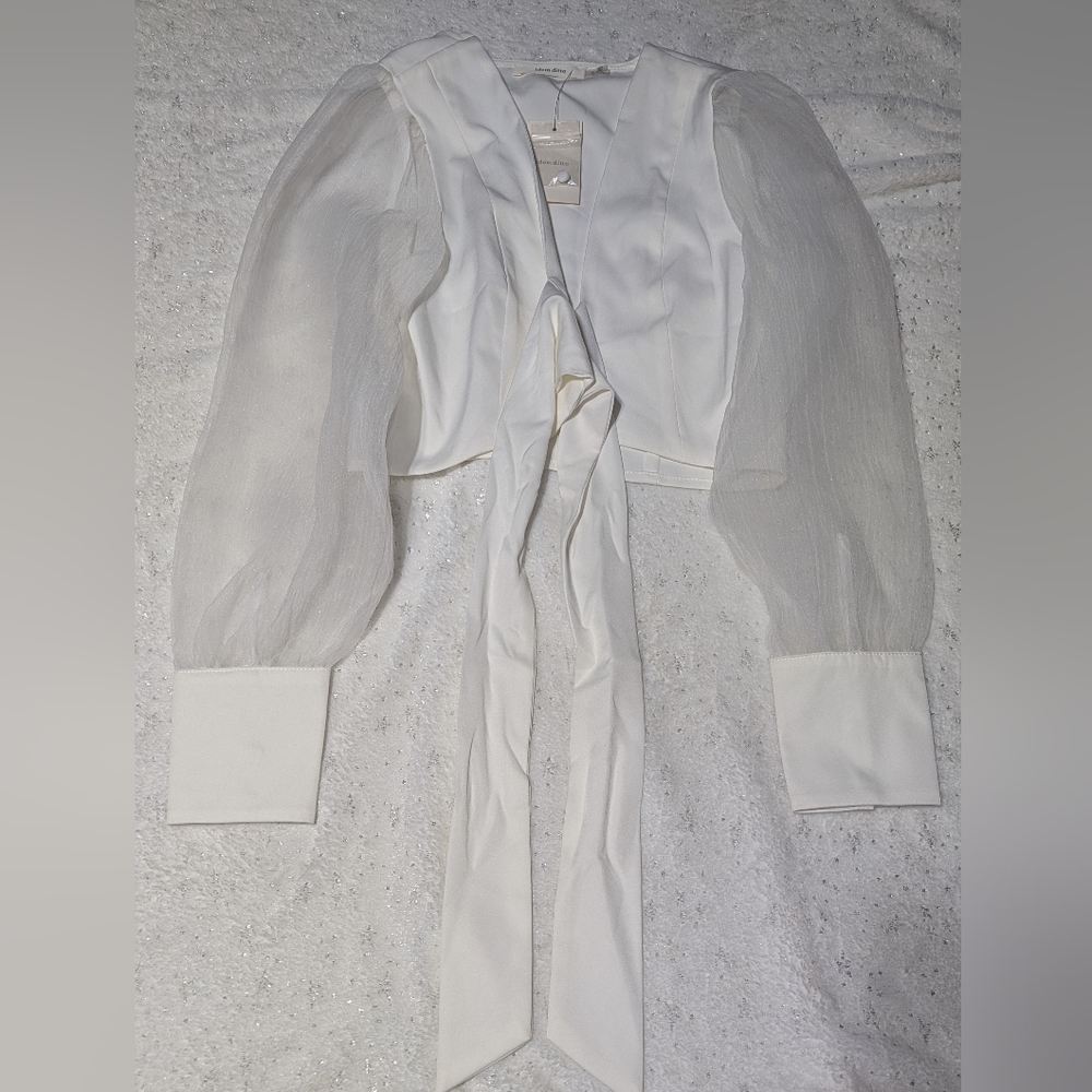 Idem Ditto Sheer Puff Sleeve Tie Front Crop Top S